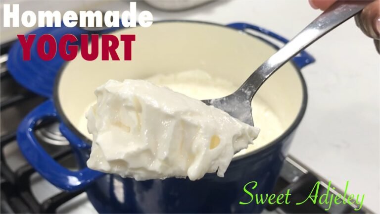 How To Make Yogurt At Home With & Without A
