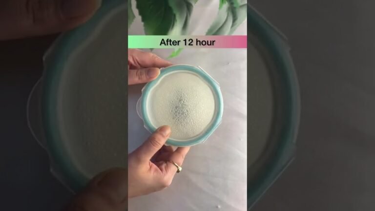 How To Make Yogurt Starter At Home. #shorts #yogurt @madhurisfoodmagic