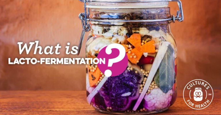 Lactofermentation | What Is Lactic Acid Bacteria Fermentation?