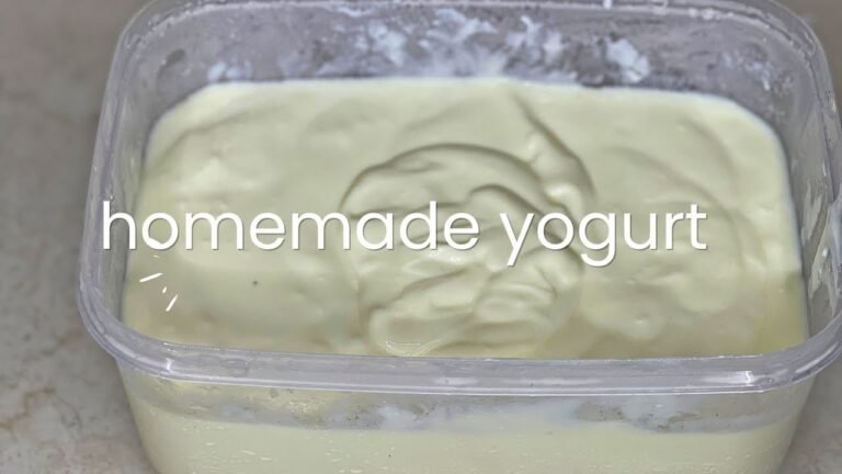 Home Made Yoghurt How To Make Yogurt At Home